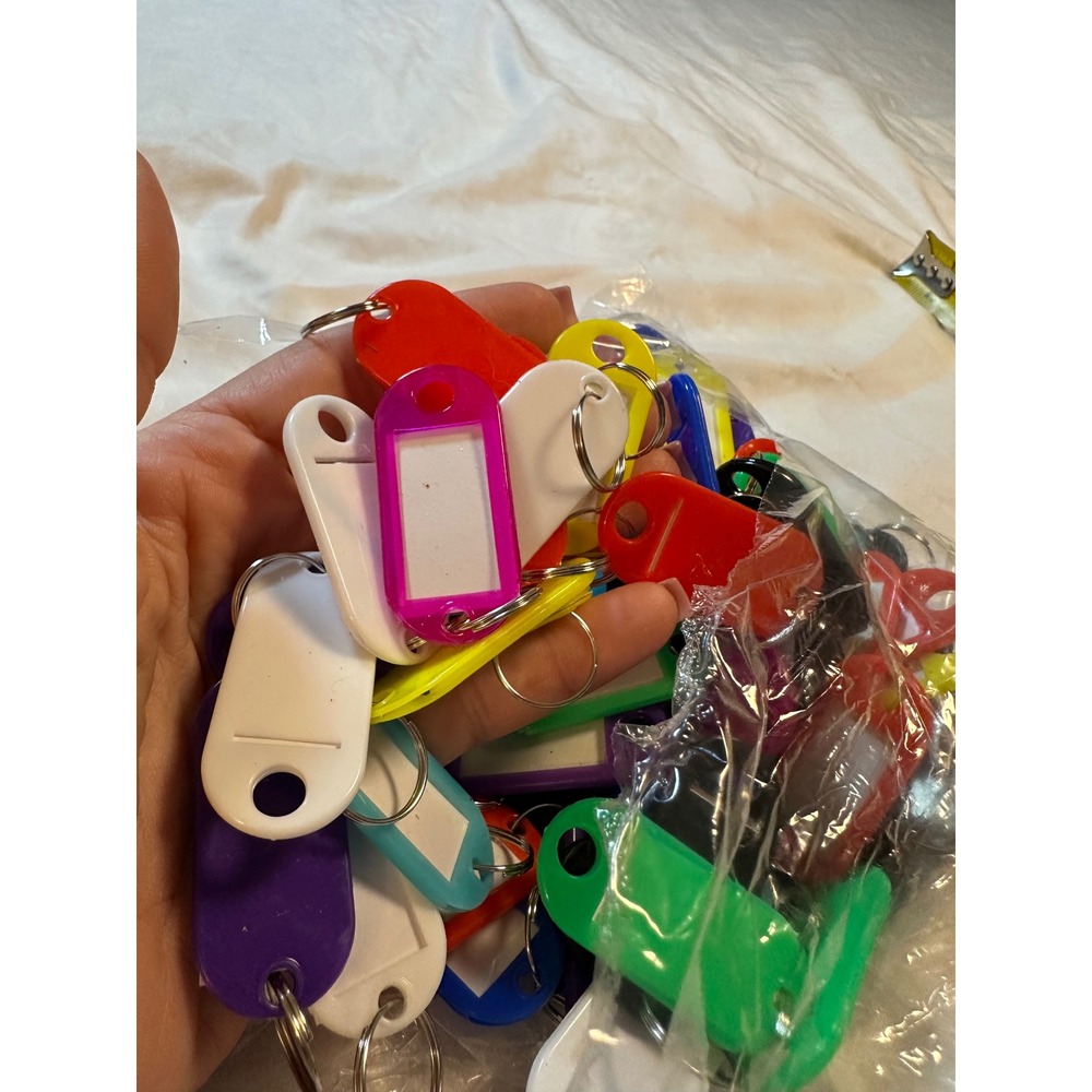 Bulk Plastic Key Tags with Split Ring and Label Window Multicolor 50 Count